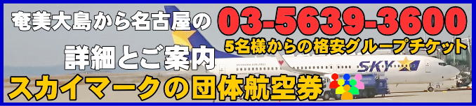 スカイマーク・奄美大島から名古屋線のフライトスケジュールとチェックイン手続きについて