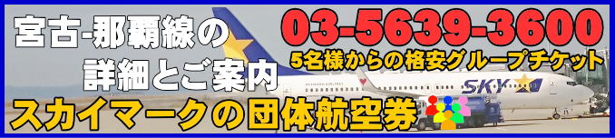 スカイマーク団体航空券・宮古下地島から那覇間のフライトスケジュールとチェックイン手続き