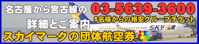 スカイマーク団体航空券の名古屋から宮古下地島のフライトスケジュールとチェックイン手続き