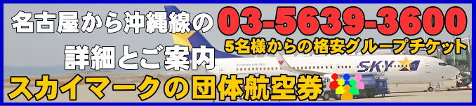 スカイマーク団体航空券の名古屋から沖縄那覇のフライトスケジュールとチェックイン手続き