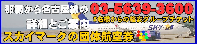 スカイマーク団体航空券の沖縄那覇から名古屋のフライトスケジュールとチェックイン手続き