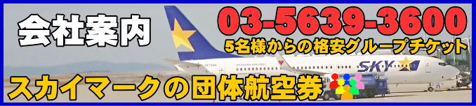 スカイマーク団体航空券の会社案内